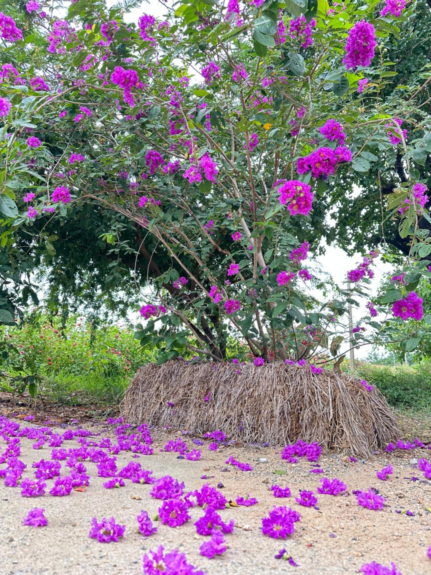 Ban Suweena Uthai Thani Exterior photo